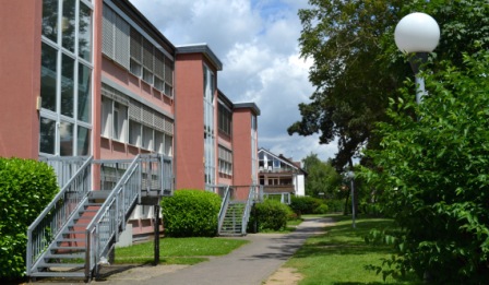 Projektsteuerung und Projektcontrolling